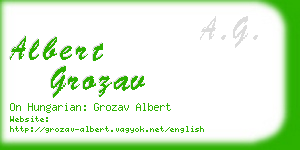 albert grozav business card